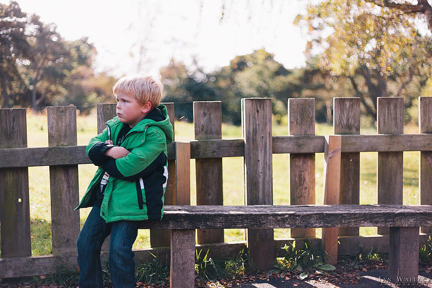 Sherwood Forest