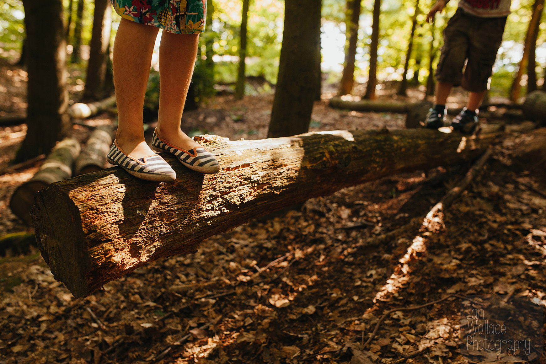 Girl and boy about to jump off a log in woodland