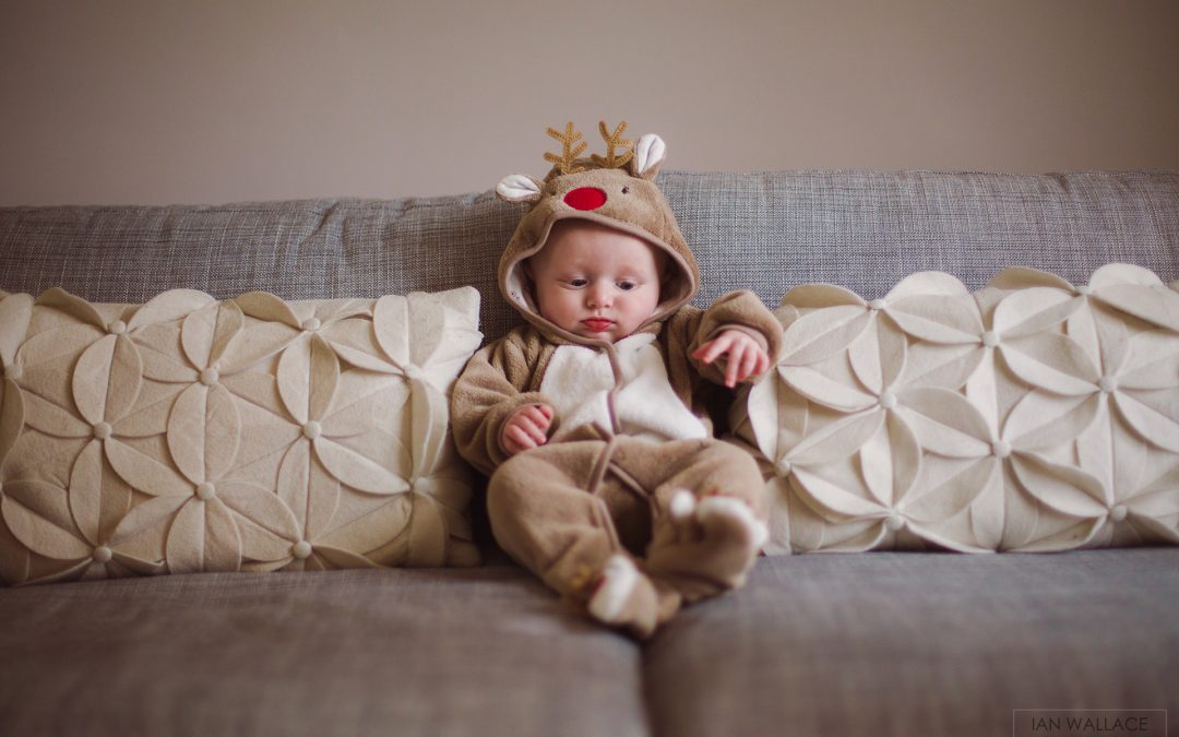 Meet Benjamin – How to be cute 101