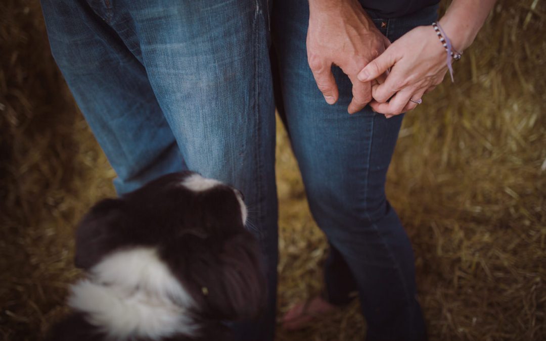 Paul and Kellie – Dogs, chickens and horses. A relaxed pre-wedding shoot