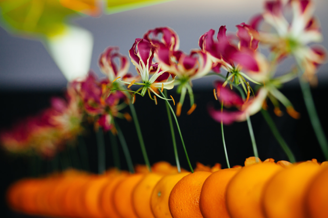 Orange wedding table dressing Wakefield