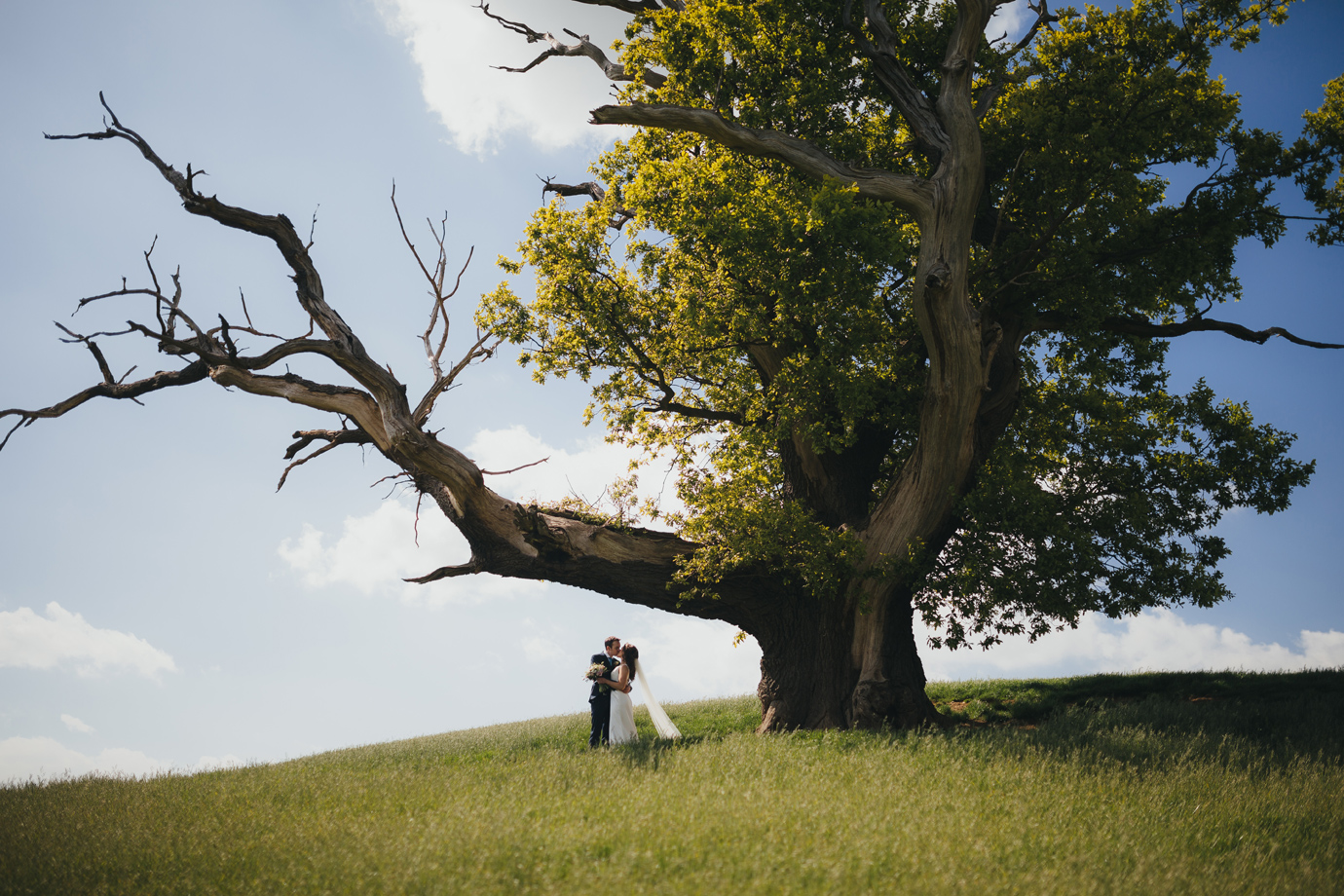 053-2015-wedding-roundup